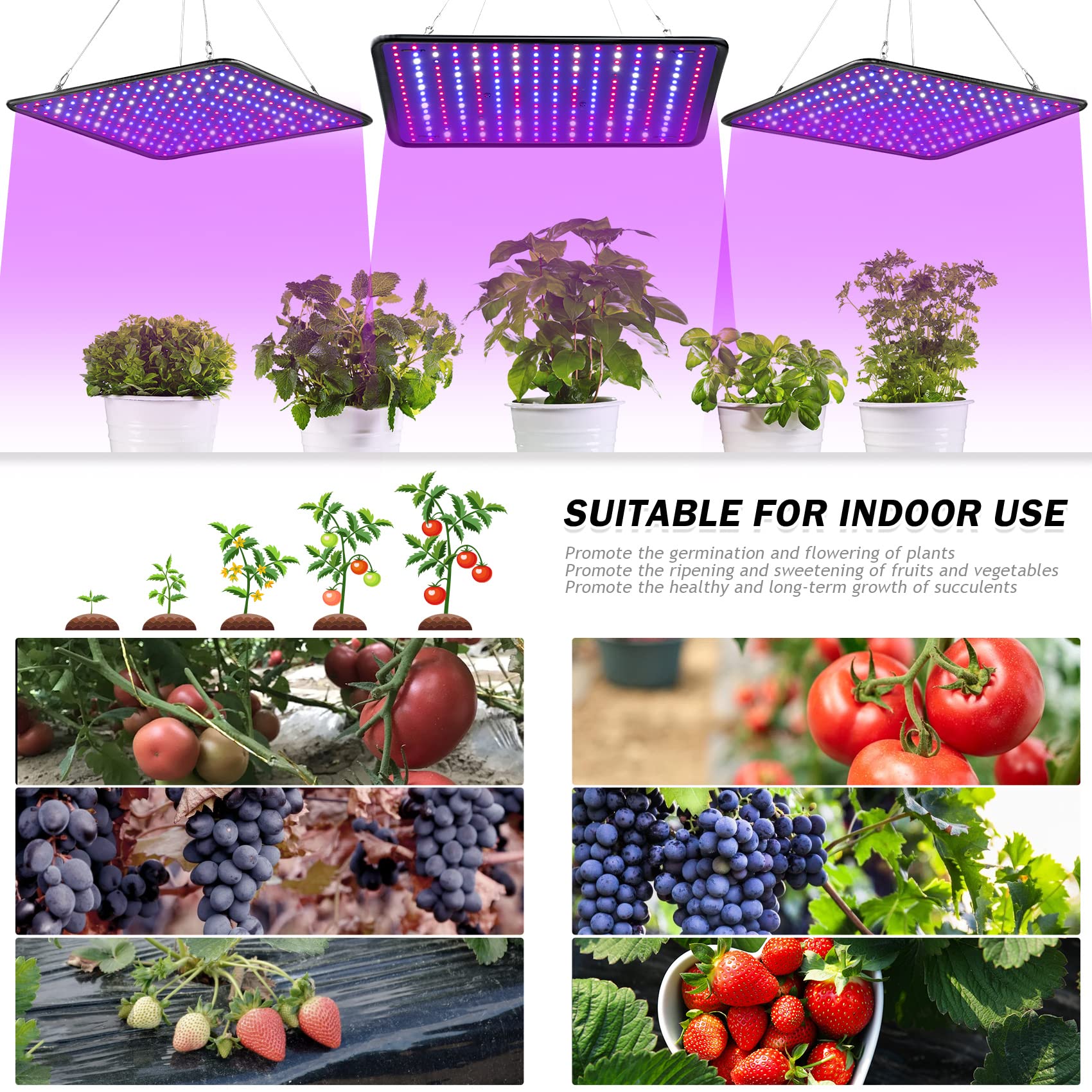 グローライト　植物栽培用LED Amazon.co.jp: 屋内植物用グローライト - サービング 200W LED グロー